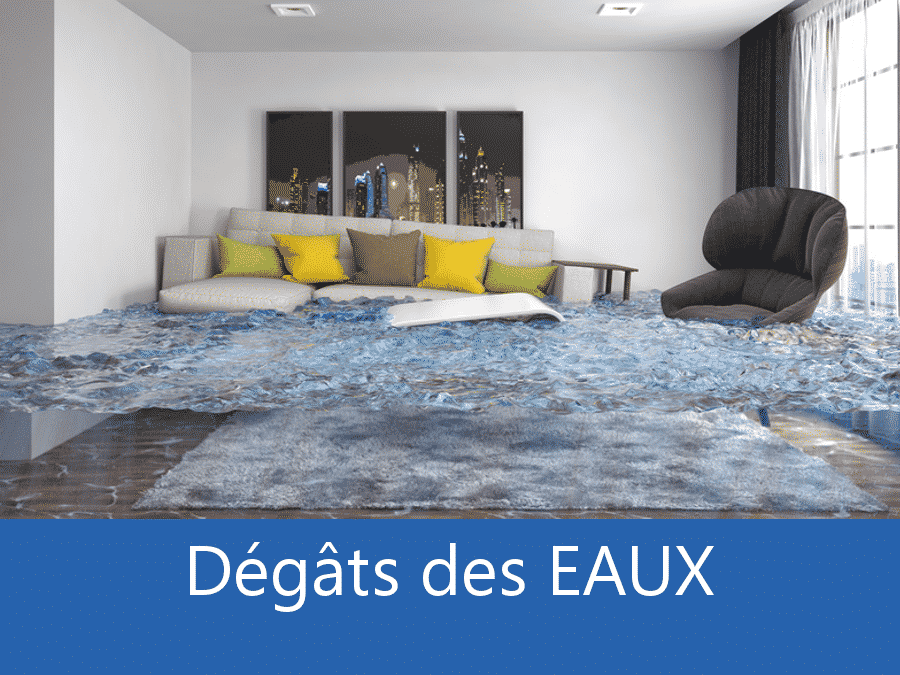 expertise humidité 21, expert humidité Dijon, cause moisissure Côte d'Or, solutions hulidité Beaune,